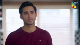 Meesni - Episode 116 - 15th June 2023